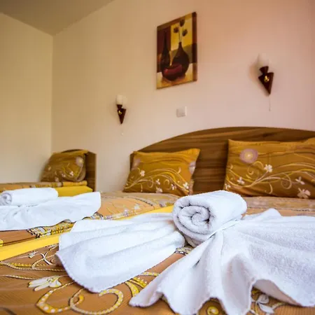 Guest house Vien