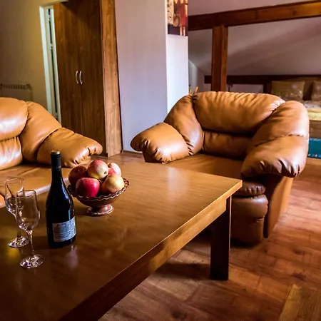 Guest house Vien Bansko