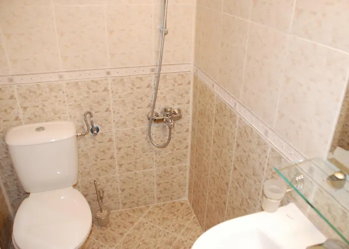 Vien Guest house Bansko